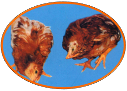 �������ǲ���(�й���)�ٷ���վ