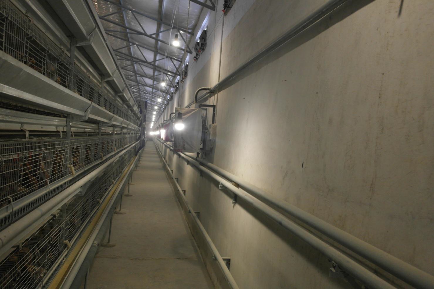 �������ǲ���(�й���)�ٷ���վ