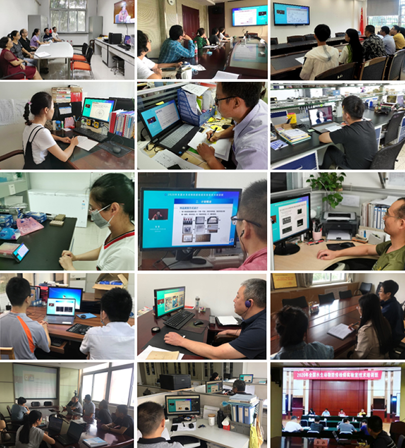 �������ǲ���(�й���)�ٷ���վ