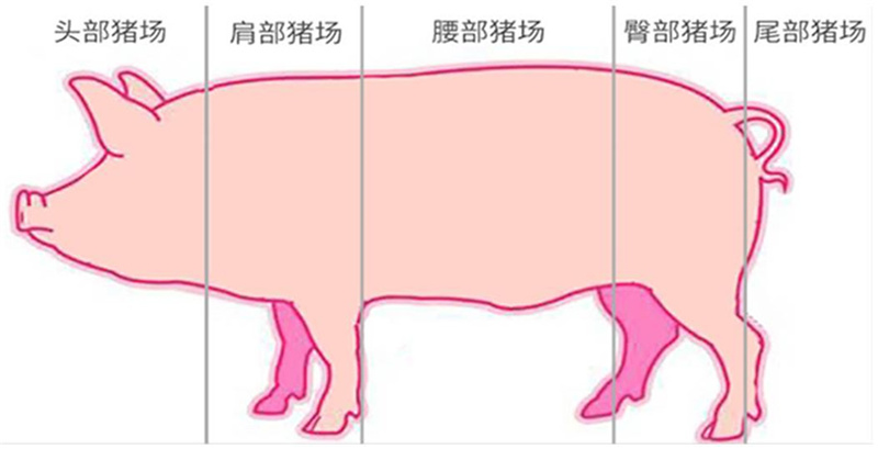 �������ǲ���(�й���)�ٷ���վ