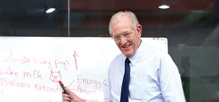 �������ǲ���(�й���)�ٷ���վ