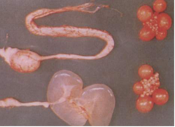 ÈËÉú¾ÍÊDz©¡¤(ÖйúÇø)¹Ù·½ÍøÕ¾