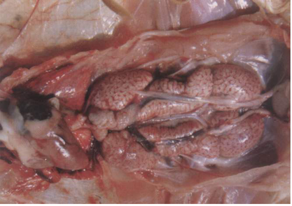 ÈËÉú¾ÍÊDz©¡¤(ÖйúÇø)¹Ù·½ÍøÕ¾