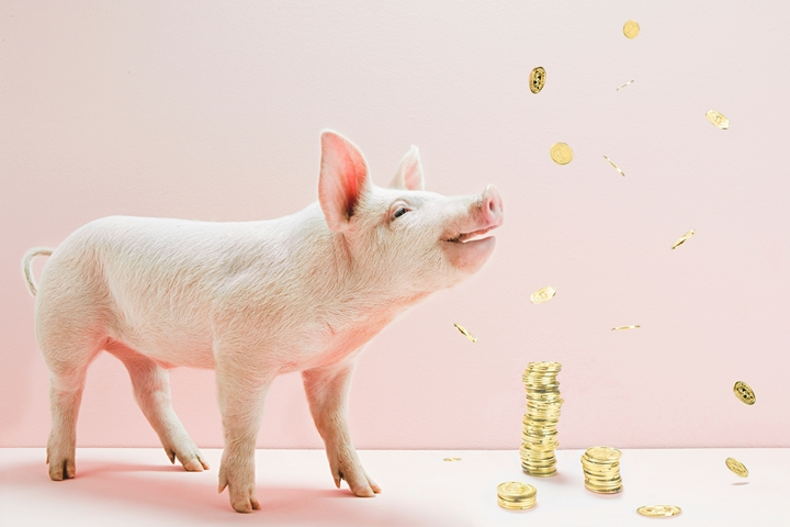 �������ǲ���(�й���)�ٷ���վ