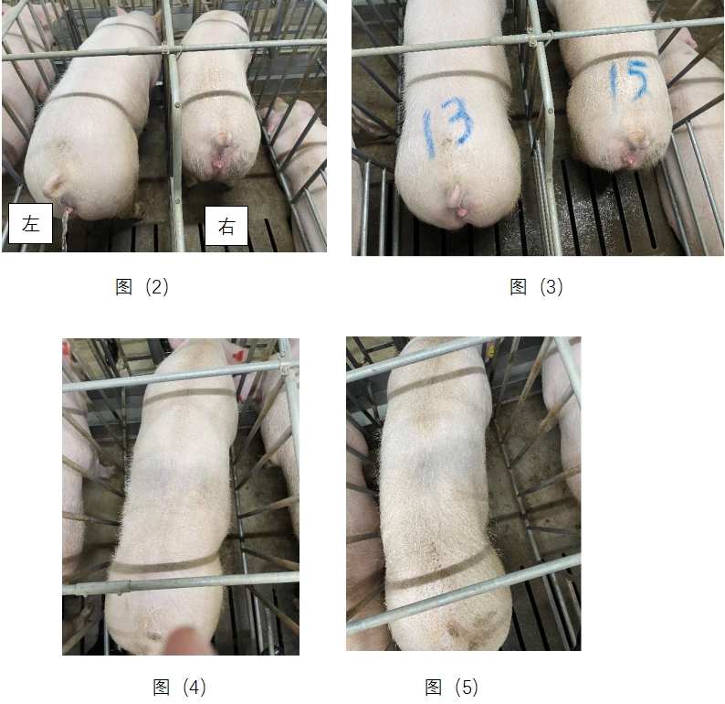 �������ǲ���(�й���)�ٷ���վ